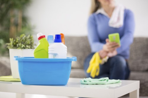 Deep cleaning preparation and room-by-room service in Barnes