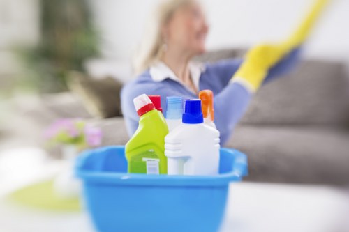 Domestic cleaning service for Barnes homes with regular household upkeep