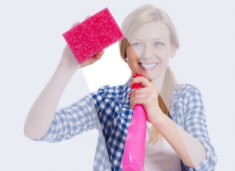 Barnes-based household cleaning service for flats, houses, and nearby areas