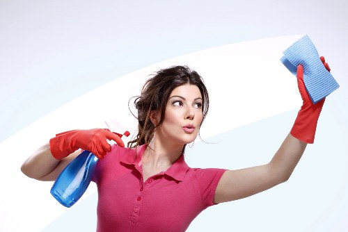 Supplier audit and due diligence process for Carpetcleaning Barnes